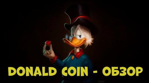 Обзор проекта DonaldCoin